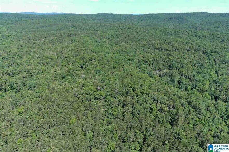 More Photos Of 0 County Rd 61, Fruithurst Land For Sale