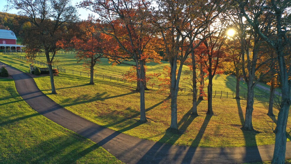 More Photos Of 15201 Weimer Road, Mount Savage Land For Sale