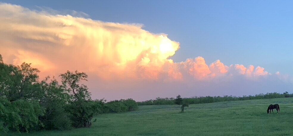 More Photos Of 1190 Dickerson Rd, Lockhart Land For Sale