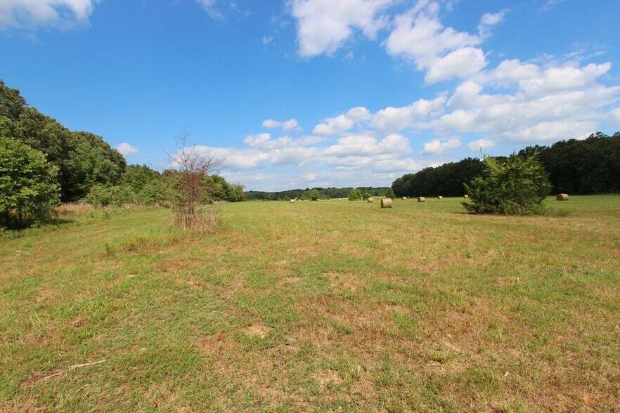 More Photos Of 278 Highway 64 E, Conway Land For Sale