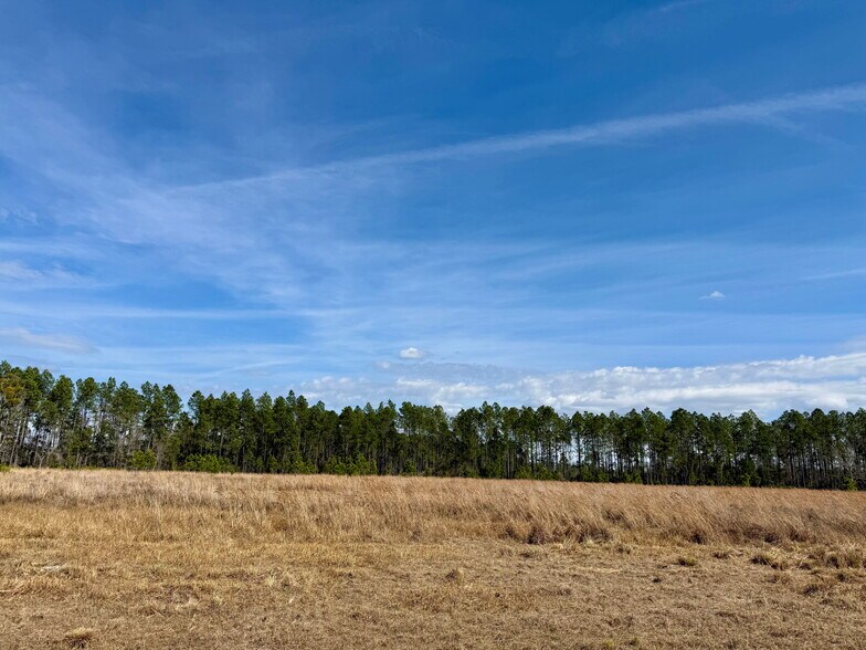 More Photos Of 4597 State 24 rd, Bronson Land For Sale