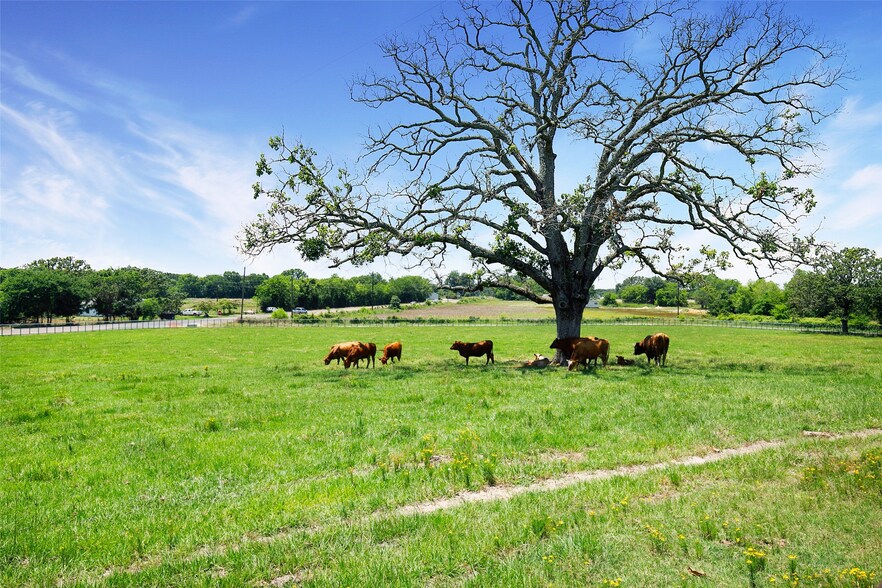 More Photos Of 575 County Road 1214, Quitman Specialty For Sale