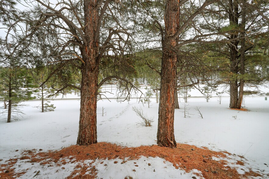 More Photos Of Lot 21A Golf View Terrace, Angel Fire Land For Sale