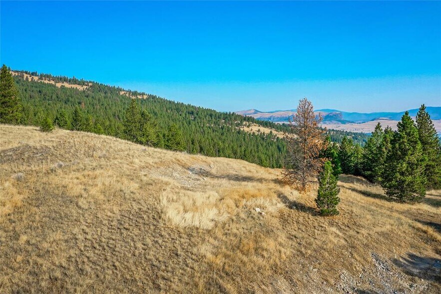 More Photos Of 29011 Walking Horse Ln, Big Arm Land For Sale