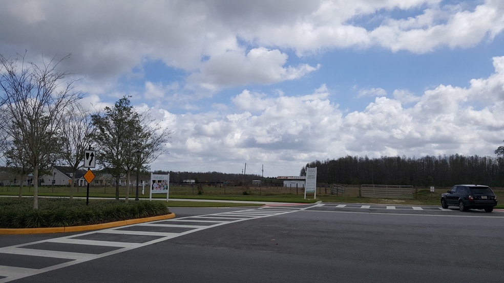 More Photos Of State Road 54, Odessa Land For Sale