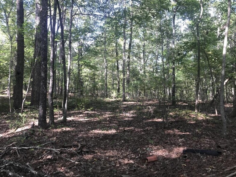 More Photos Of 1424 Shady Grove Rd, Irmo Land For Sale