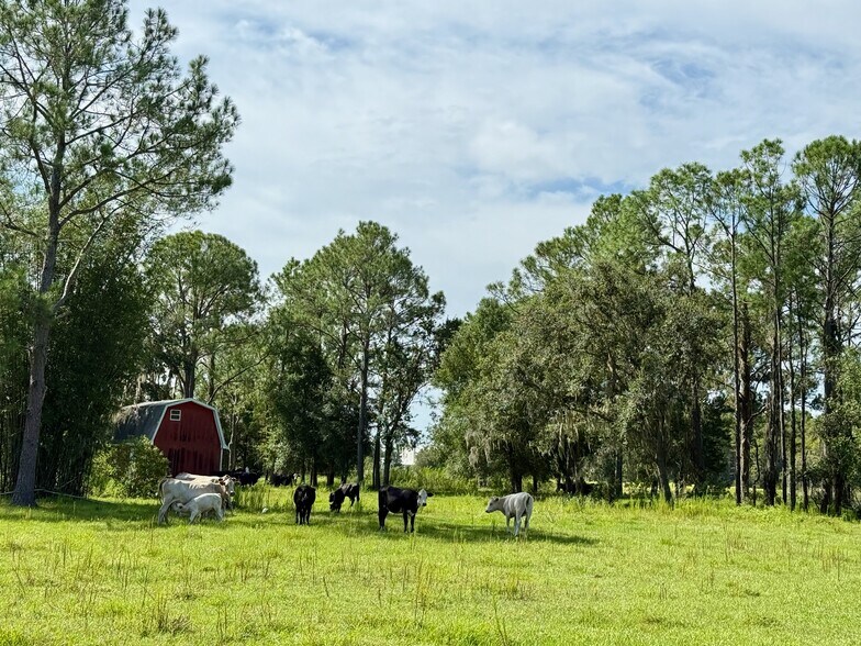 More Photos Of 10460 Ehren Cutoff, Land O' Lakes Land For Sale