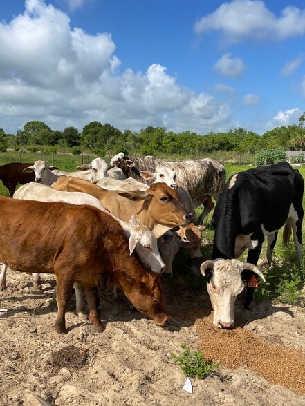 More Photos Of 2105 86th Ave SW, Vero Beach Land For Sale