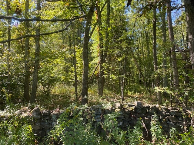 More Photos Of 989 NY-32, Wallkill Land For Sale