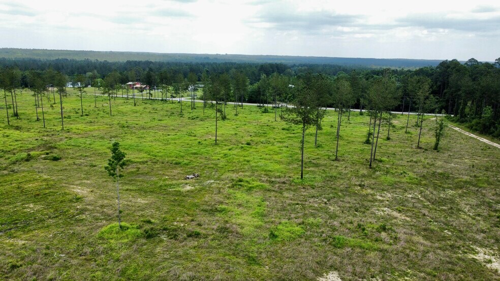 More Photos Of County Road 64, Robertsdale Land For Sale