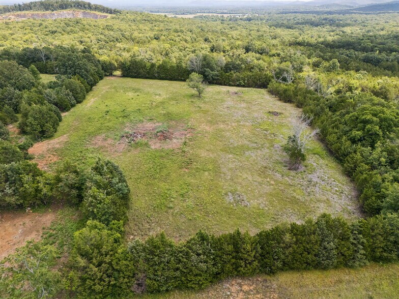 More Photos Of 7665 Shelbyville Pike, Christiana Land For Sale