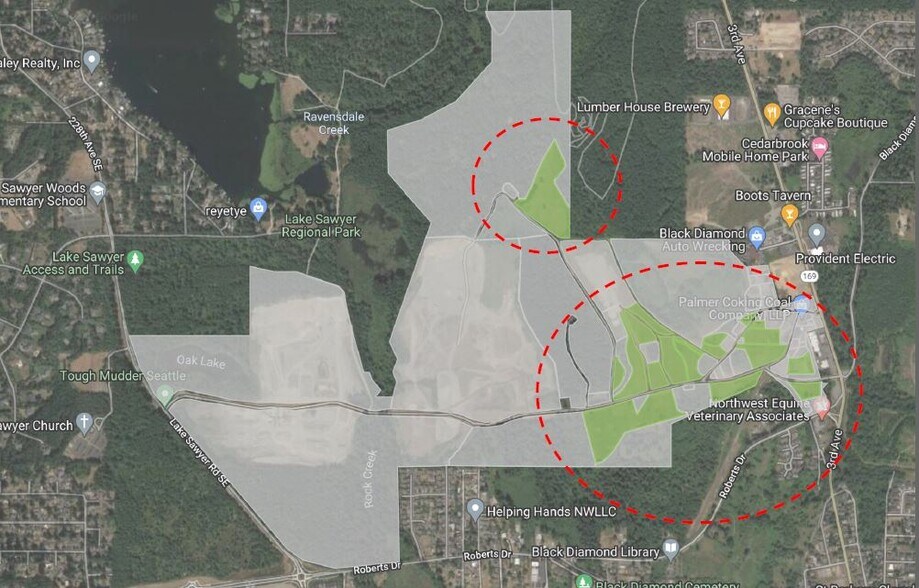 Primary Photo Of WA 169, Black Diamond Land For Lease