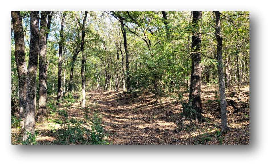 More Photos Of 8601 Lowery Rd, Fort Worth Land For Sale
