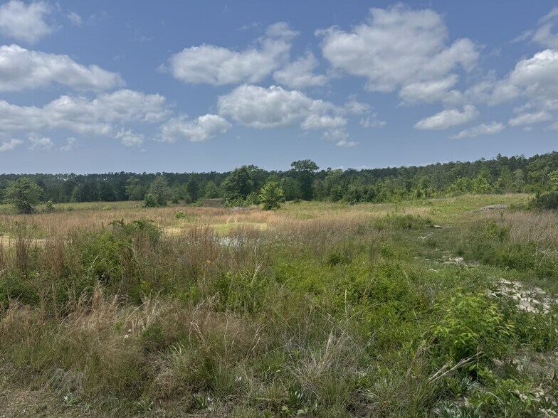 More Photos Of 39207 State Highway 59, Bay Minette Land For Sale