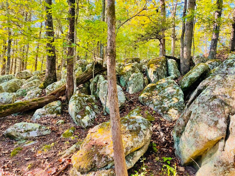 More Photos Of 3134 E Van Buren, Eureka Springs Hotel For Sale