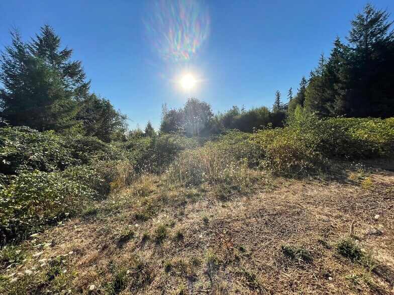 More Photos Of 20725 SE 367th Ave, Sandy Land For Sale