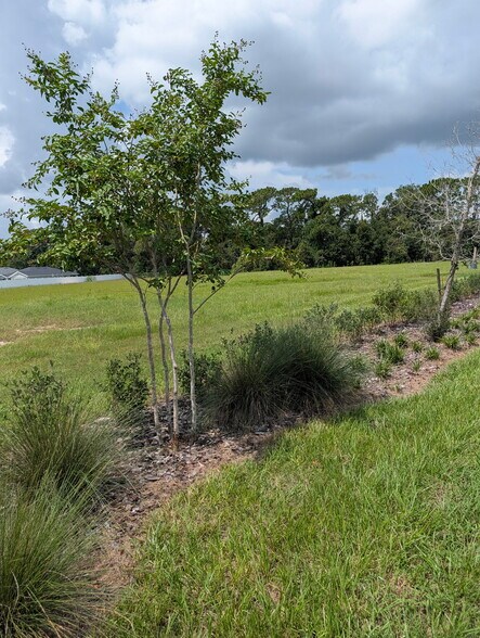 More Photos Of East Hwy 25, Belleview Land For Sale