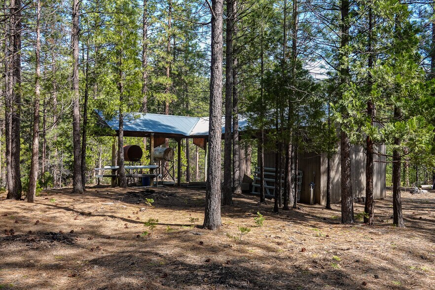 More Photos Of 6409 Kangaroo Creek Rd, Gazelle Land For Sale