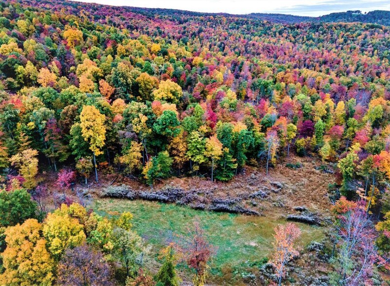More Photos Of 2005 Grafton Rd, Morgantown Land For Sale
