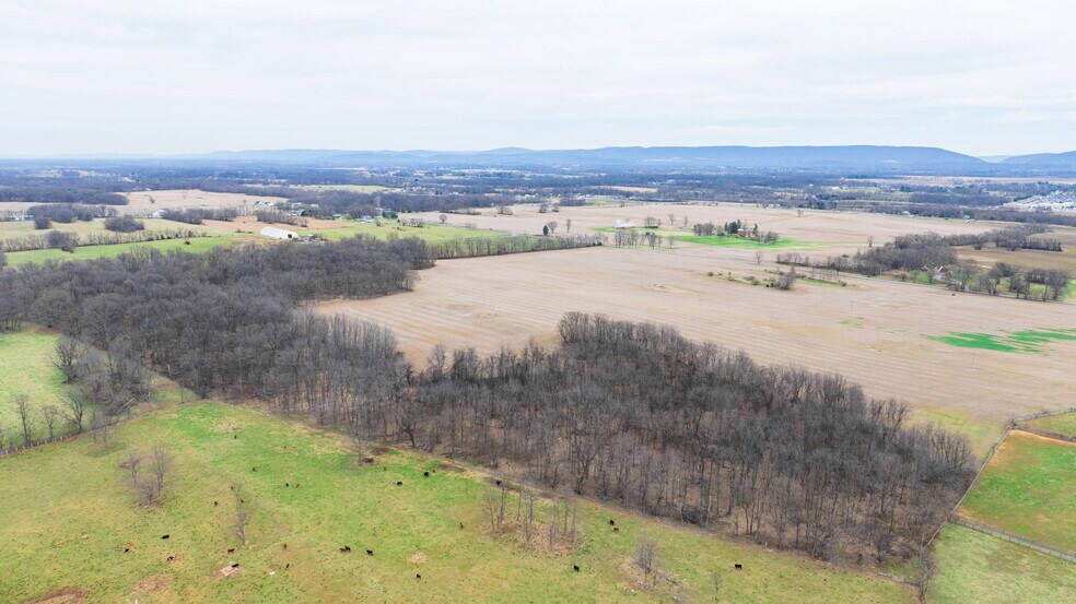 More Photos Of Currie Road/Mildred Street, Ranson Land For Sale