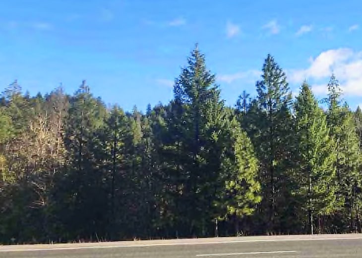 Primary Photo Of 15583 Redwood Hwy, Selma Land For Sale