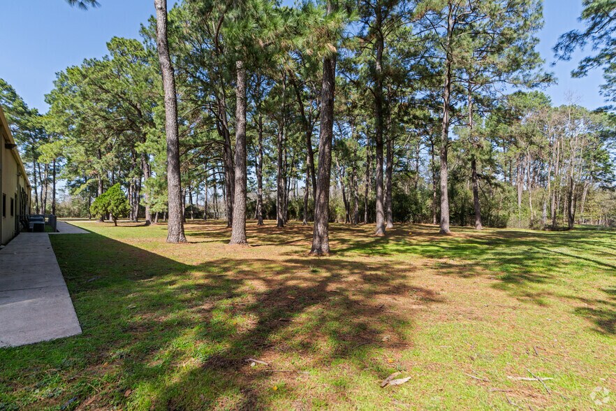 More Photos Of 17810 Spring Creek Forest Dr, Spring Schools For Lease