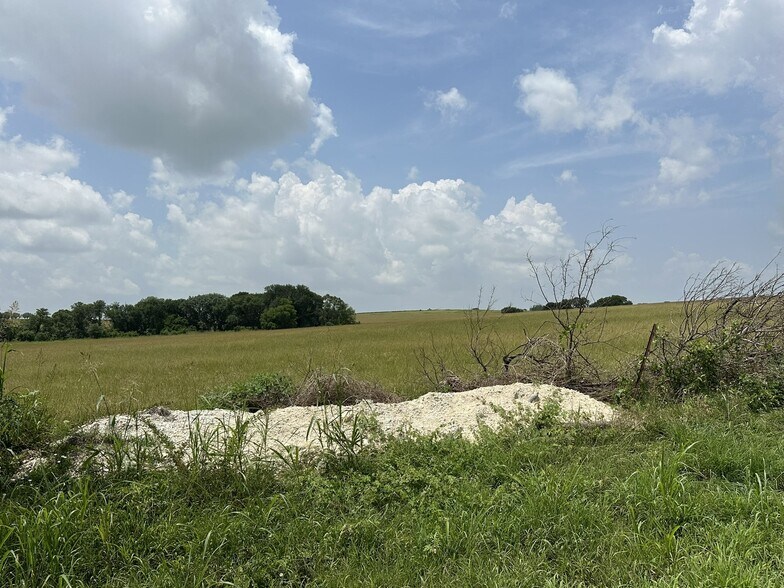 More Photos Of Farm to Market Road 935, Troy Land For Sale