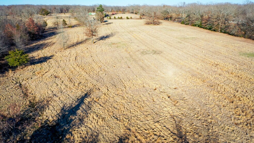 More Photos Of 1200 County 1255 rd, Detroit Land For Sale