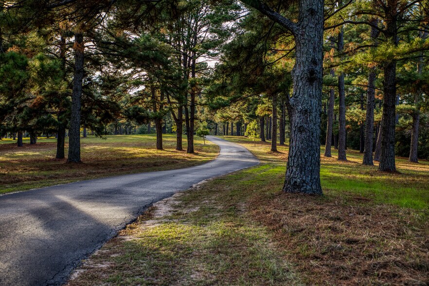 More Photos Of 11676 Highway 30, Anderson Land For Sale