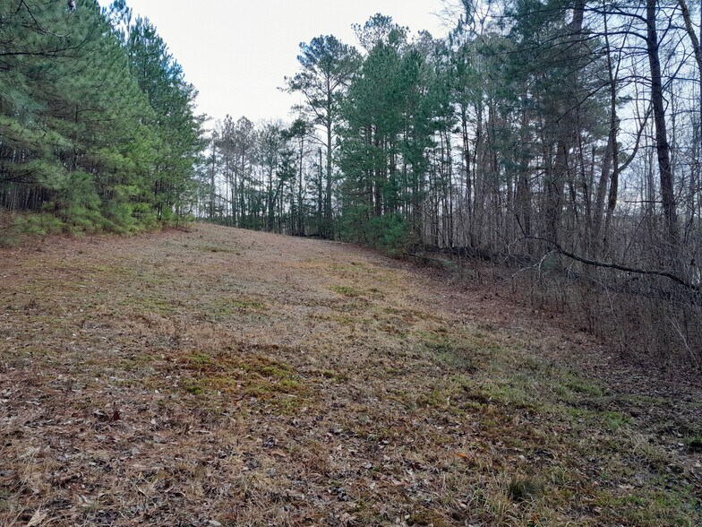More Photos Of Lester Mill @ Frog RD, Locust Grove Land For Sale