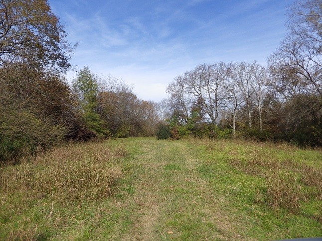 Primary Photo Of Reed Road Highway 82, Starkville Land For Sale