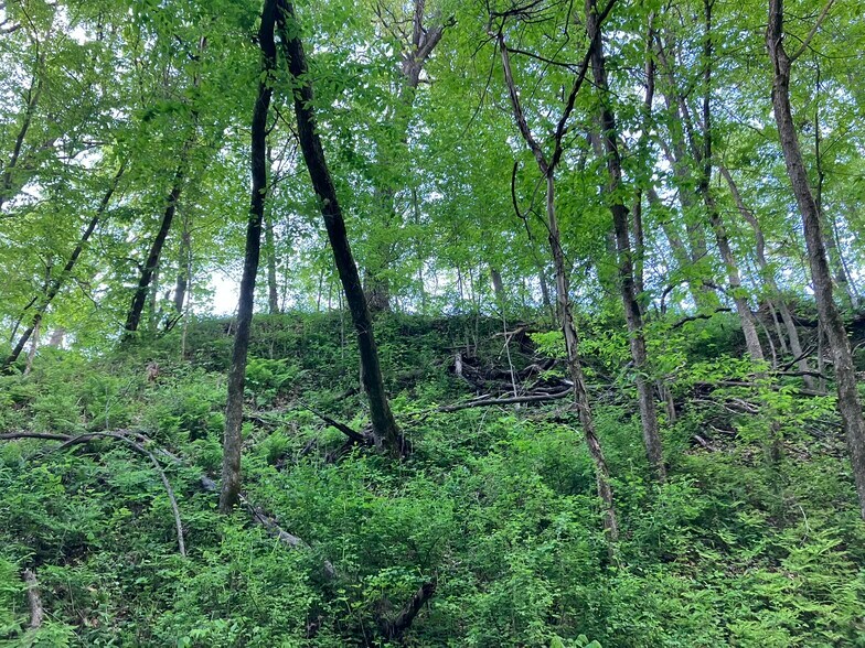 More Photos Of N3739 Bear Pen Rd, Arkansaw Land For Sale