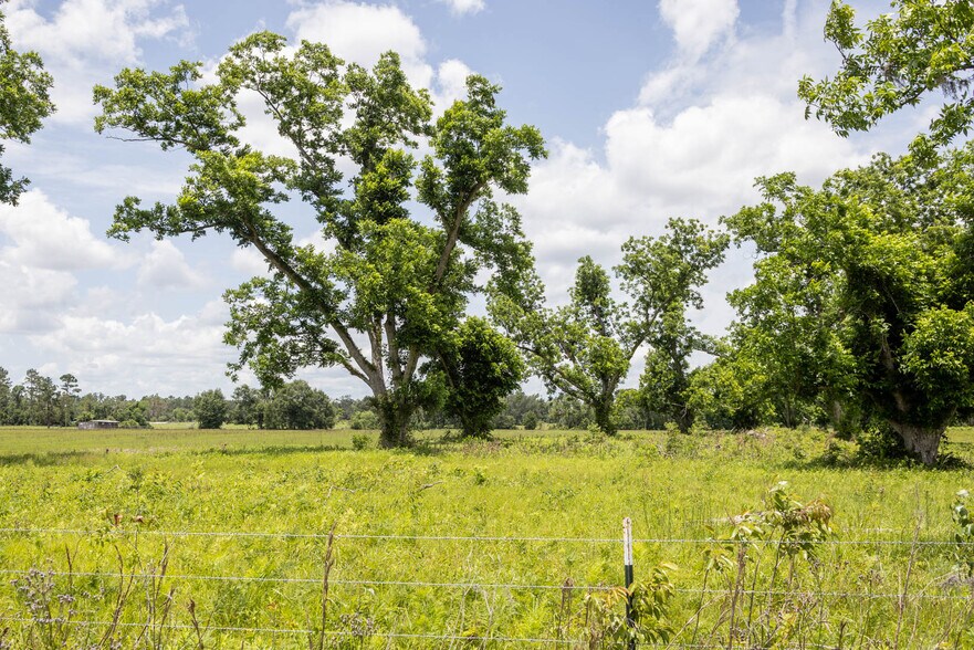 More Photos Of 000 US Highway 90, Live Oak Land For Sale