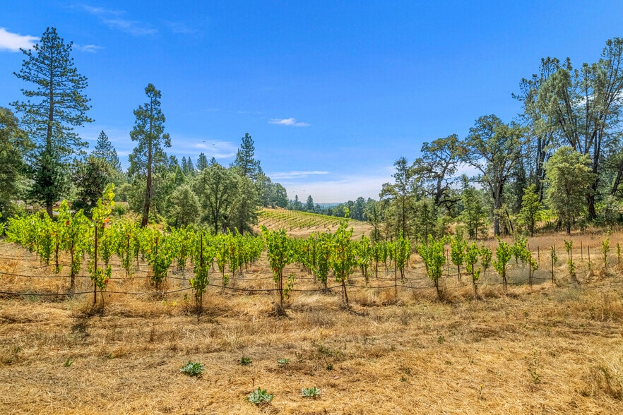 More Photos Of 4282 Pleasant Valley Rd, Placerville Specialty For Sale