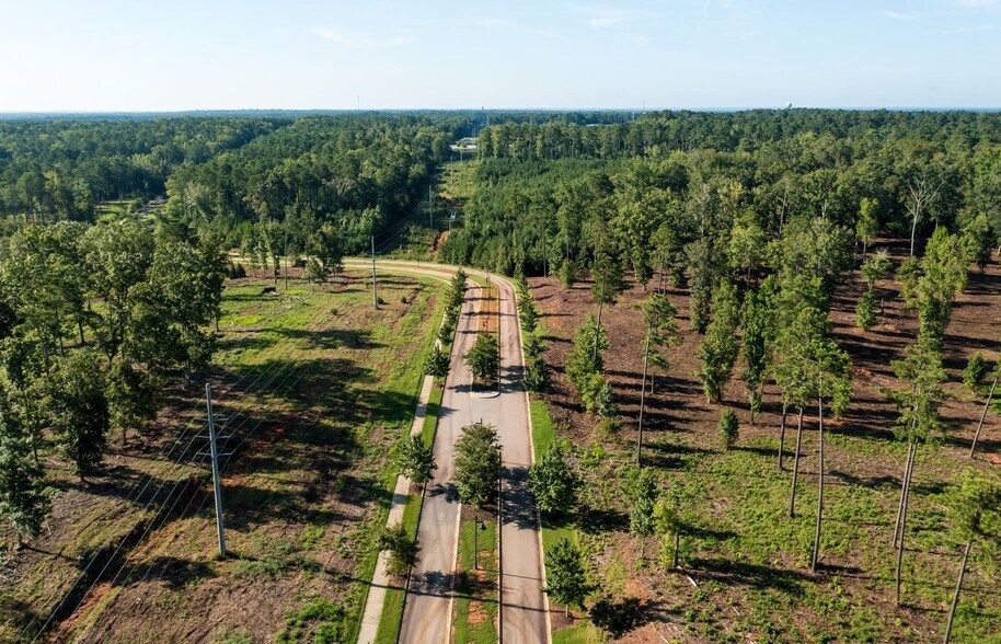 More Photos Of 301 Brighton Blvd, Chapin Land For Sale