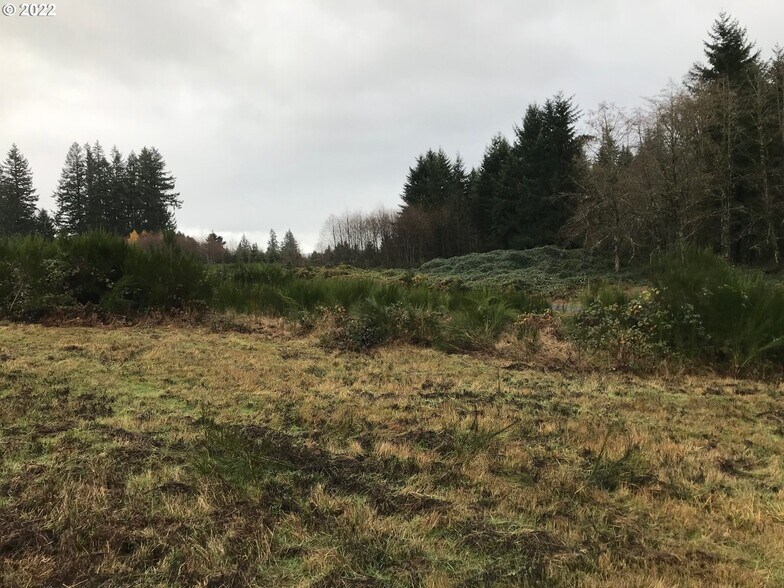 More Photos Of 20228-20270 Veneer Ln, Sandy Land For Sale