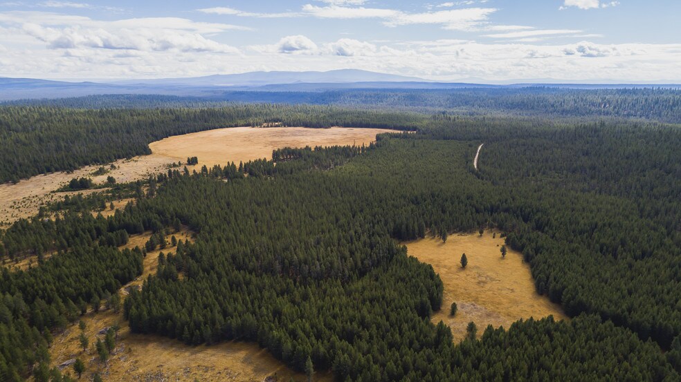 More Photos Of US Forest Service Rd, Silver Lake Land For Sale