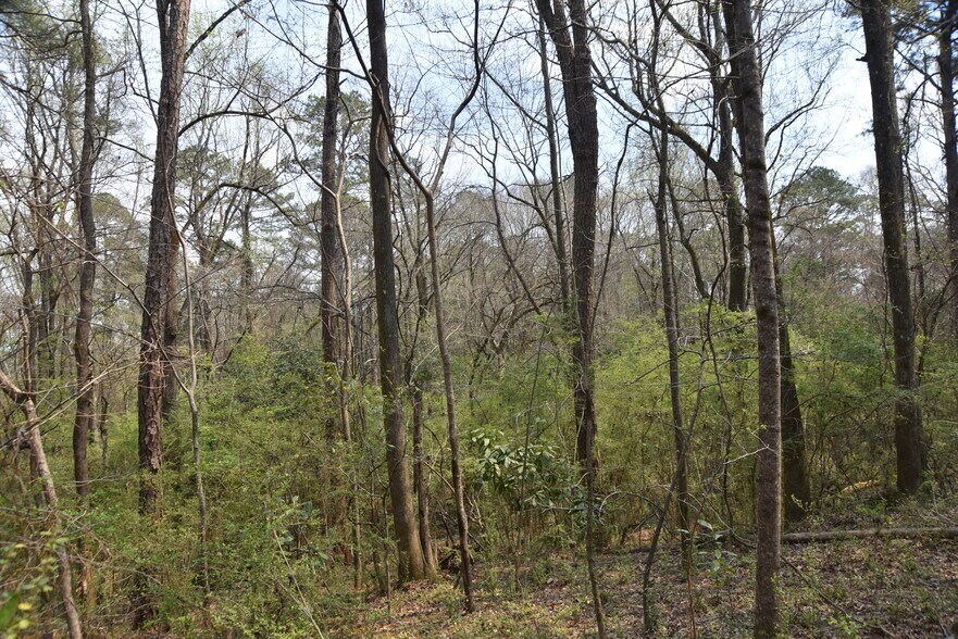 More Photos Of Warm Springs Rd @ GA-208, Waverly Hall Land For Sale