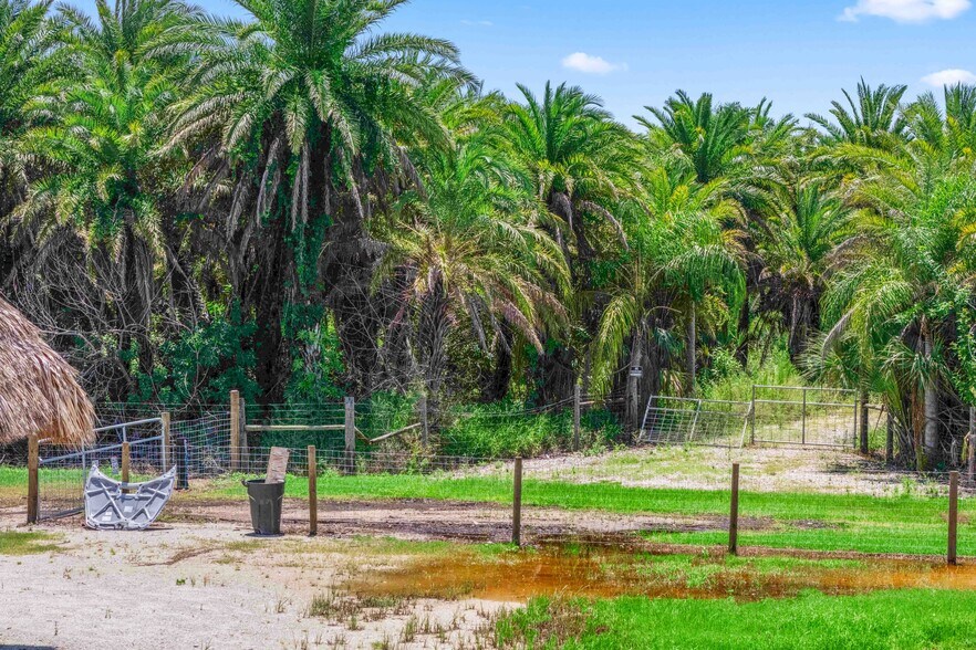 More Photos Of 6250 Masters Landing Dr, Saint James City Land For Sale
