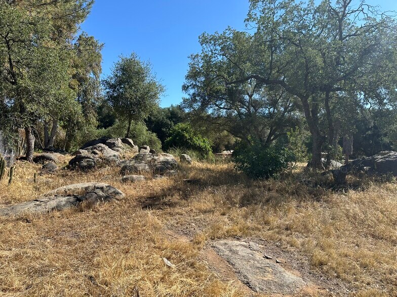 More Photos Of 1528 Olivewood Ln, Alpine Land For Sale