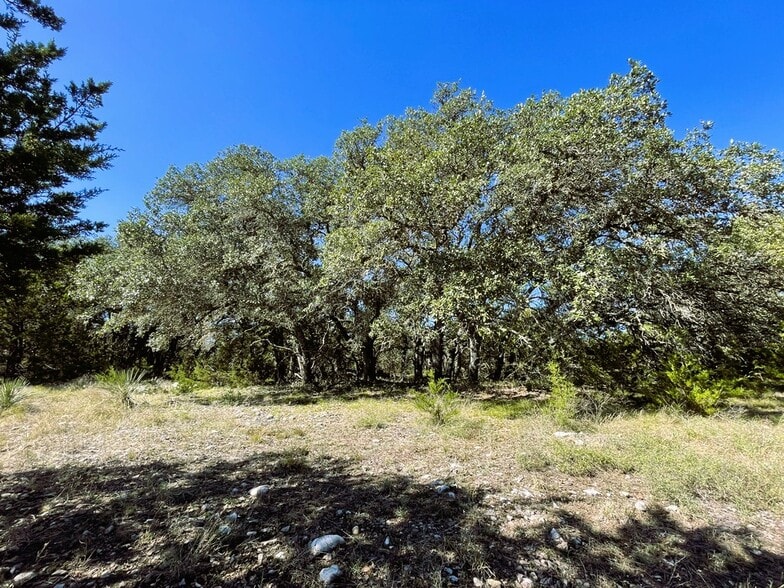 More Photos Of 1276 Farm to Market Road 574, Mullin Land For Sale