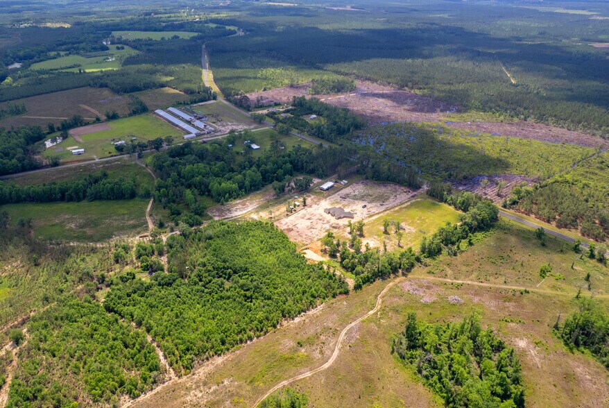 More Photos Of 17614 Lanes Bridge Rd, Odum Land For Sale