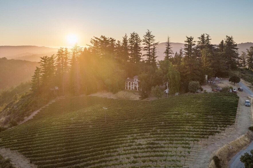 More Photos Of 25200 Loma Prieta Ave, Los Gatos Winery Vineyard For Sale