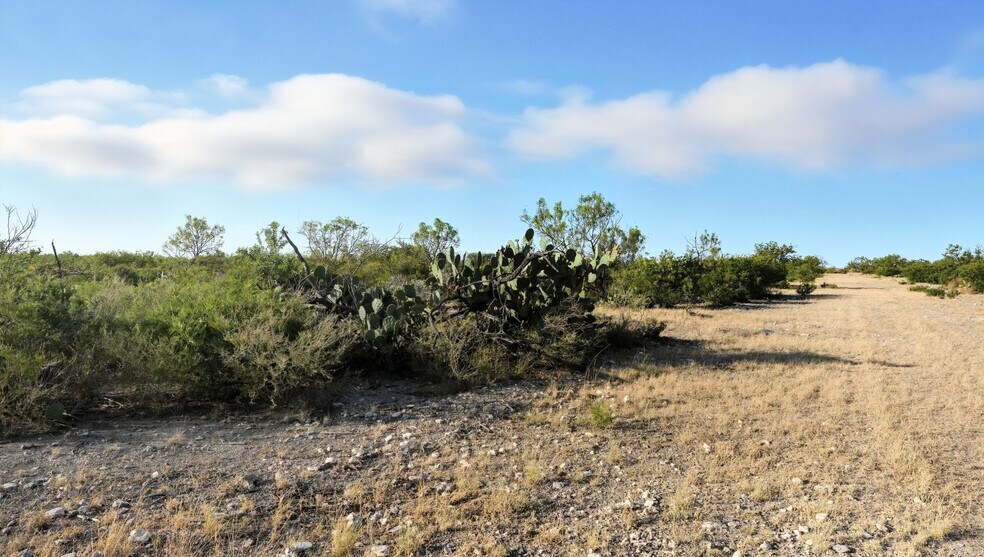 More Photos Of 000 Ranch to Market 3008, Brackettville Land For Sale
