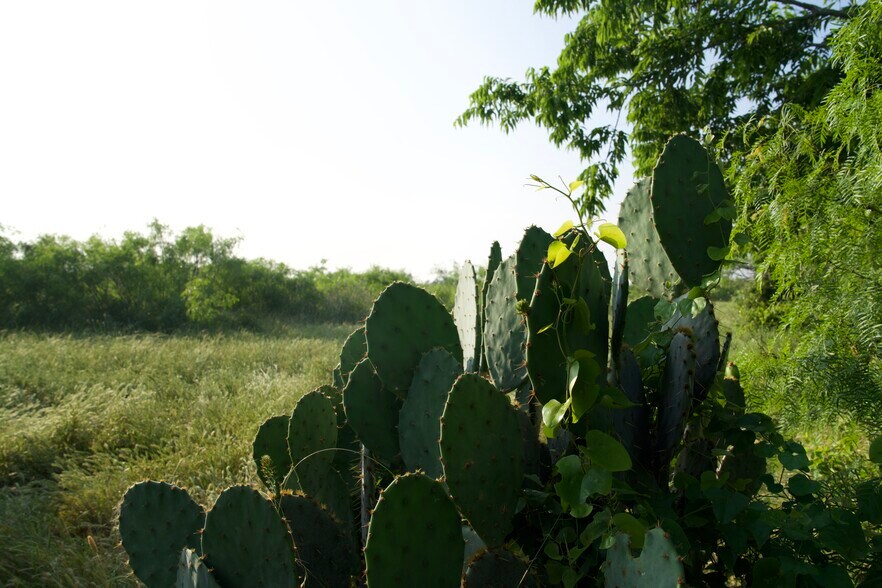 More Photos Of 00 Taylorsville Rd, Red Rock Land For Sale