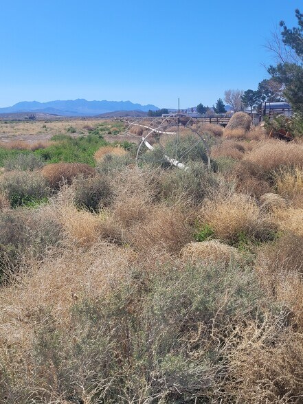 More Photos Of 3171 Tillman St, Pahrump Industrial For Sale