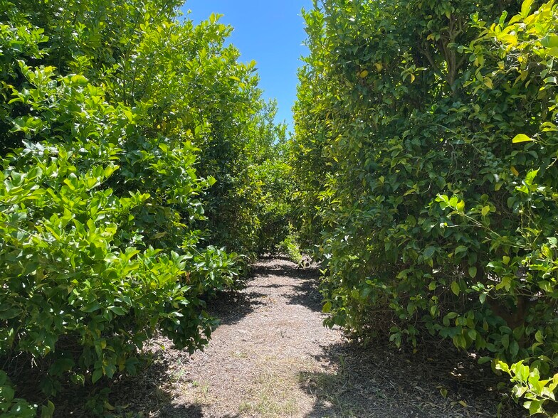 More Photos Of 44952 Vista del Mar, Temecula Winery Vineyard For Sale