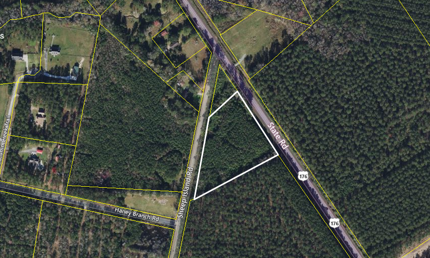 Primary Photo Of 0 State Rd, Summerville Land For Sale