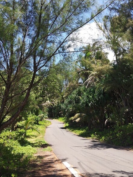 More Photos Of 0 Old Government Rd, Pahoa Land For Sale