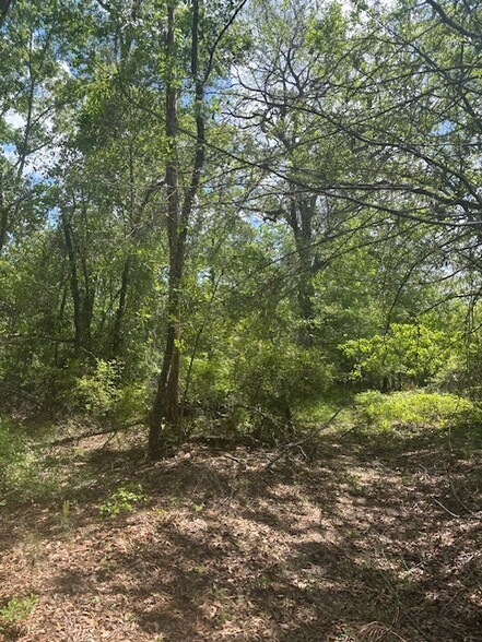 More Photos Of 0 New Bethel Church Rd, Fitzgerald Land For Sale